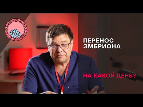 Видео: На какой день лучше переносить эмбрион? Все нюансы.