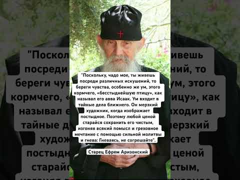 Видео: Поскольку, чадо мое, ты живешь  посреди различных искушений, …Старец Ефрем Аризонский