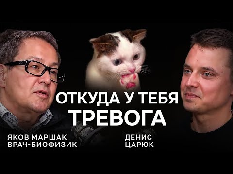 Видео: Что помогает при тревоге? — Доктор Яков Маршак, инструкция от тревоги