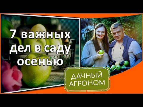 Видео: 7 дел В САДУ осенью: ГЛУПЫЕ и ПОЛЕЗНЫЕ