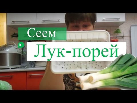 Видео: Сеем лук-порей в "улитку" и на нетканую салфетку.