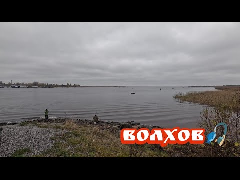 Видео: Рыбалка на реке Волхов!