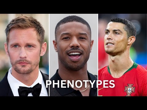 Видео: Как ваш фенотип влияет на вашу личную жизнь как мужчины