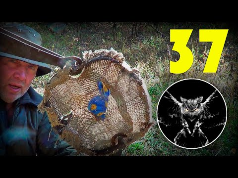 Видео: СПОСОБ ВЫЖИВАНИЯ В ЛЕСУ / ОХОТА НА БАРСУКА