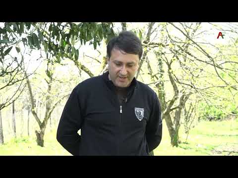 Видео: Анхаҩы. Кьасоу Лашәриа. 18.04.2022