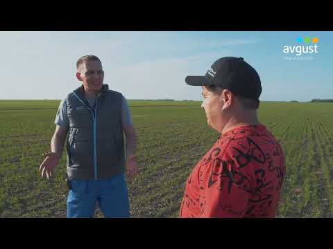 Видео: Осенняя обработка полей глифосатом в «Атамекен-Агро-Корнеевка» №3 #агроказахстан #обработкапочвы