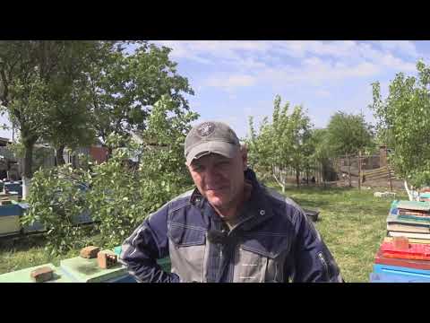 Видео: С Акацией пролетели.