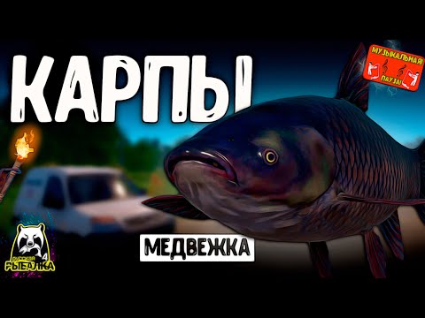 Видео: 🔴 РР4/ рыбалка для души, ловим как универсал, общаемся 04.11.2024