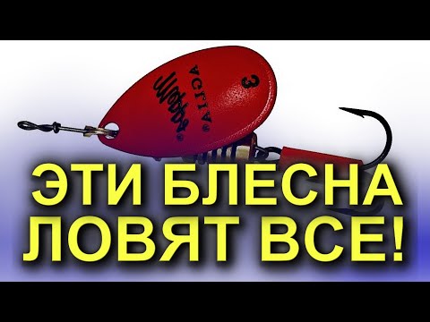 Видео: ТОП БЛЕСЕН MEPPS КОТОРЫЕ ЛОВЯТ ЩУКУ И ОКУНЯ! РЫБАЛКА НА СПИННИНГ. ЛОВЛЯ НА ВЕРТУШКИ МЕПС