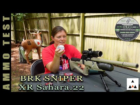 Видео: Пневматическое оружие Аризоны — BRK Sniper XR Sahara — тест боеприпасов для стрельбы на заднем дворе