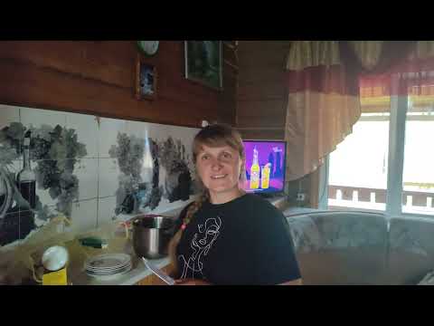 Видео: Где бюджетно остановиться на Телецком озере?