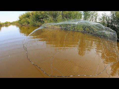 Видео: ВОТ ОНА УДАЧА!!! ОГРОМНЫЕ КАРАСИ НА КАСТИНГОВУЮ СЕТЬ!!! Рыбалка на кастинговую сеть с лодки!!!