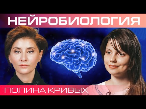 Видео: Как прокачать мозг? Полина Кривых