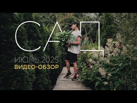 Видео: ОБЗОР САДА. июль 2025