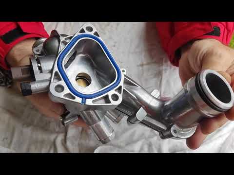 Видео: 3 ноября 2025 г.