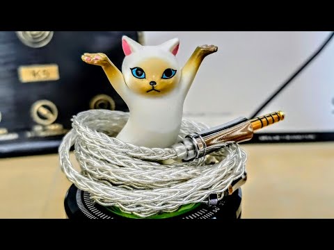 Видео: XINHS 019 ✨️ продолжаем изучать бюджетный сегмент ‼️‼️‼️