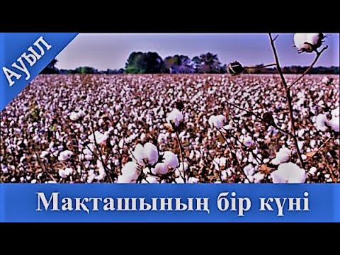 Видео: Мақташының бір күні