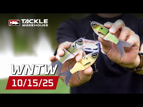 Видео: 🔥ГОРЯЧИЕ🔥 НОВЫЕ зонтичные оснастки, планирующие приманки, катушки и приманки Yamamoto — всё в маг...