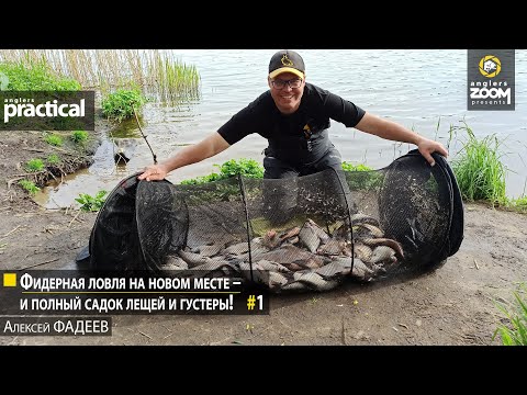 Видео: Фидерная ловля на новом месте – и полный садок лещей и густеры! А. Фадеев. Часть 1.Anglers Practical