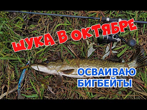 Видео: ЩУКА в октябре НА БИГБЕЙТЫ, но сегодня только "ДВУШКИ"