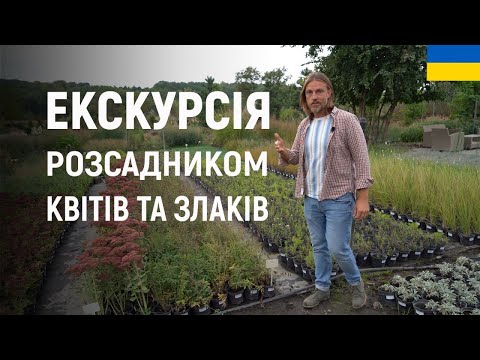 Видео: ЕКСКУРСІЯ РОЗСАДНИКОМ КВІТІВ ТА ЗЛАКІВ | ЛАНДШАФТНИЙ ДИЗАЙН