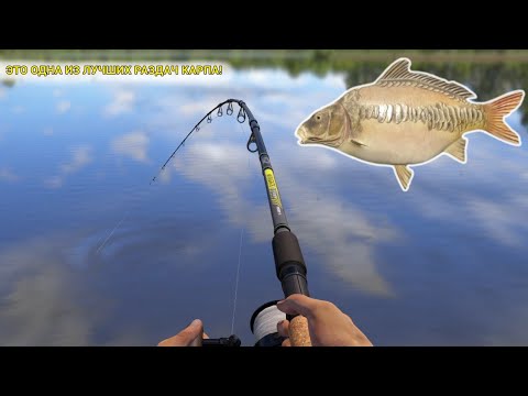 Видео: ЭТО ОДНА ИЗ ЛУЧШИХ РАЗДАЧ КАРПА! СРОЧНО ИДИ НА ЭТУ РАЗДАЧУ!