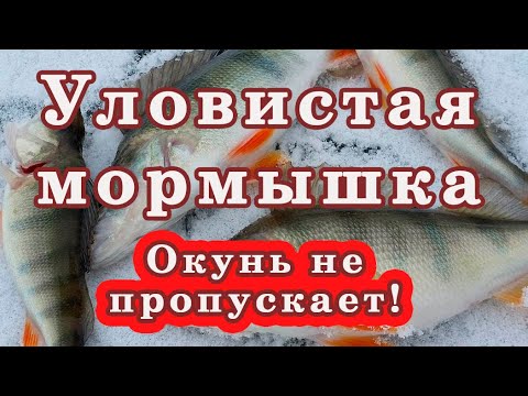 Видео: Самая Простая и УЛОВИСТАЯ Безмотылка из Обычной Проволоки!!!