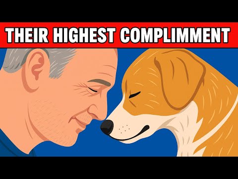 Видео: 5 самых глубоких комплиментов, которые может сделать вам собака | Dog Love