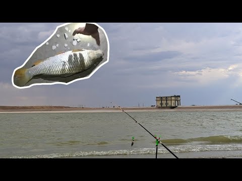 Видео: Рыбалка в Шу на водохранилище "Тасутколь"