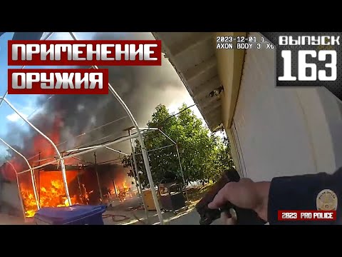 Видео: Применение оружия полицейскими: Семейный [Выпуск 163 2024]