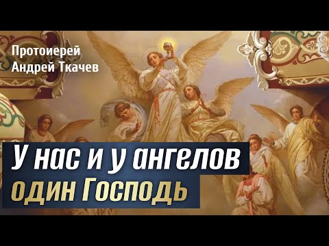 Видео: Единственный Ходатай между Богом и человеком. Отец Андрей Ткачёв