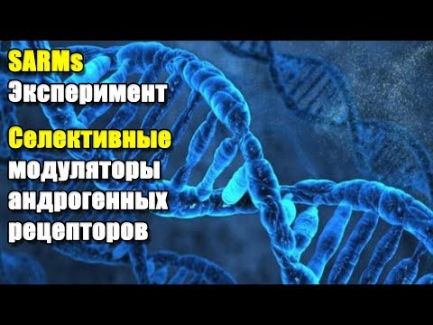 Видео: SARMs ЭКСПЕРИМЕНТ | Селективный модулятор андрогеновых рецепторов