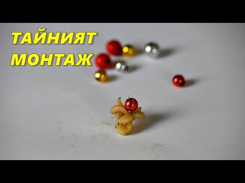 Видео: ТОП МОНТАЖ за ТРУДНИ РИБИ през ЗИМАТА с БОЛОНЕЗА и ПЛУВКА на РЕКА - МЪНИСТО и БЯЛ ЧЕРВЕЙ