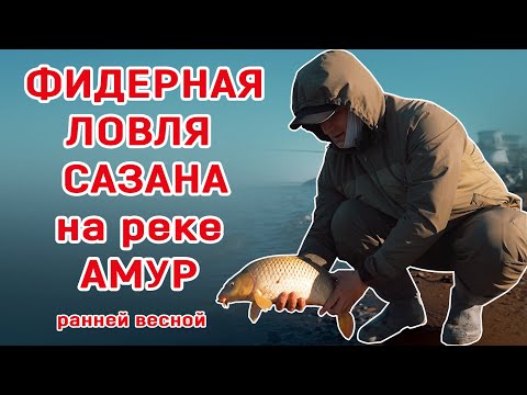 Видео: Фидерная ловля сазана на реке Амур ранней весной.