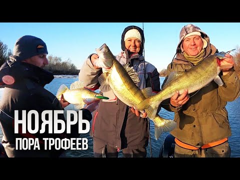 Видео: Раздача в ноябре! Судаки жадно атакуют воблер!!! Deps Balisong Long Bill 130SF, REALIS FANGBAIT 100
