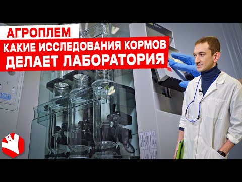 Видео: Исследования кормов | Лаборатория кормов «Агроплем» | КУЛЬТИВАТОР