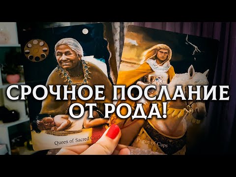 Видео: ВЫ ТОЛЬКО НЕ УПАДИТЕ! ВАМ СРОЧНОЕ ПОСЛАНИЕ ОТ РОДА!
