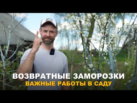 Видео: ОЖИДАЮТСЯ ВОЗВРАТНЫЕ ЗАМОРОЗКИ. Как защитить сад и огород от возвратных заморозков.