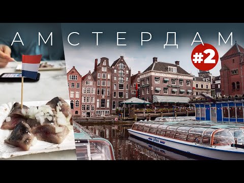Видео: Влог из Амстердама - селедка, на лодке по каналам, квартира с видом.
