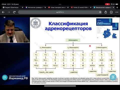 Видео: Катехоламины
