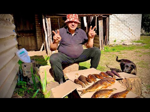 Видео: Так РЫБУ не КОПТЯТ даже ПОВАРА! Простой секрет