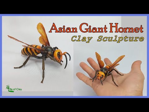 Видео: Лепим гигантского азиатского шершня_Vespa mandarinia_Полимерная глина_Изготовление крыльев насеко...
