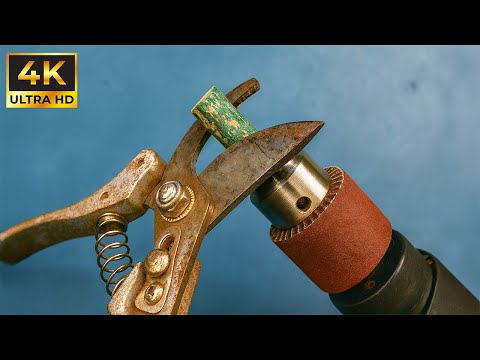 Видео: Почему я раньше этого не знал! Распылите WD-40 на старый секатор всего на 5 минут — настоящее чудо!