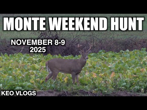 Видео: Выходные охоты Монте