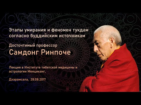 Видео: Самдонг Ринпоче. Этапы умирания и феномен тукдам согласно буддийским источникам