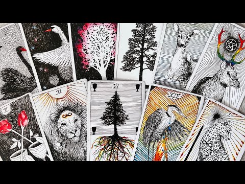 Видео: ⚡️А НУЖНА ЛИ ОНА ВАМ НА САМОМ ДЕЛЕ?💥ВАШИ ИСТИННЫЕ ЧУВСТВА К НЕЙ!🔥