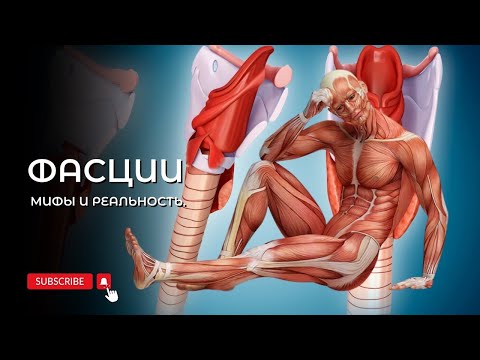 Видео: Фасции - мифы и реальность.