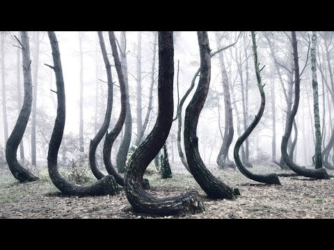 Видео: Места, Которые Загадочнее Бермудского Треугольника