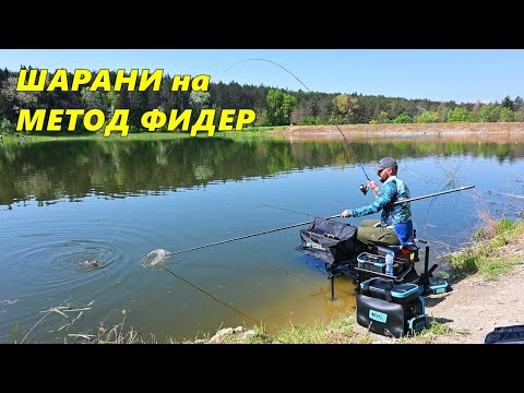 Видео: МЕТОД ФИДЕР РИБОЛОВ - КАК да ПРОВЕРИМ ДЪНОТО и да НАПРАВИМ ПЕТНО за ЛОВЕНЕ на ШАРАНИ