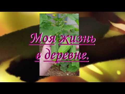 Видео: Эти загруженные событиями дни...